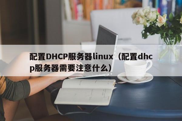 配置DHCP服务器linux（配置dhcp服务器需要注意什么）